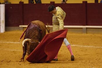 El Mene, triunfador del Circuito de Novilladas de CyL