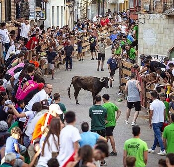 Los encierros de Torquemada sacarán a la calle 14 vacas