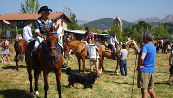 Ocho ganaderos acuden a una concurrida feria en La Pernía