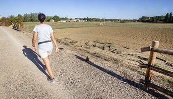 Ayuntamiento espera que el seguro cubra daños de vía verde