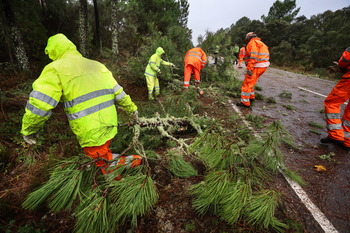 El 112 gestiona 675 llamadas y 460 emergencias por el viento