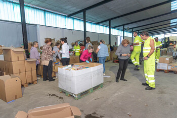 335 palés con ayuda de la provincia para Valencia