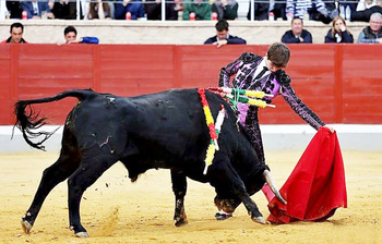 Ruiz de Velasco, fuera de la final del Alfarero de Plata