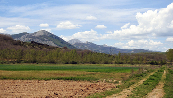 La ruta del Gótico