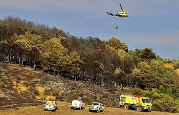 Controlan el incendio en Saldaña