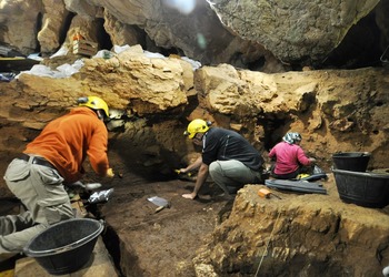 Guantes saca a la luz herramienta musterciense de 100.000 años