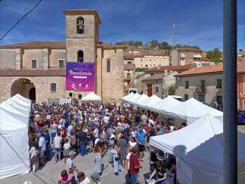 La fiesta del vino