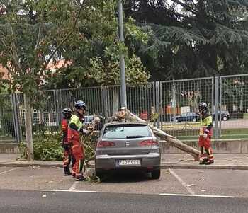 El Ayuntamiento cierra los parques por el viento