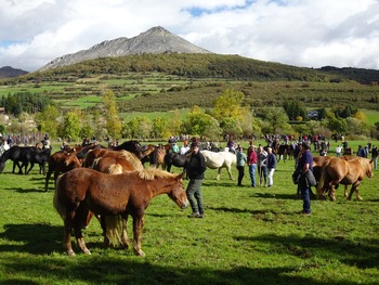 Al trote y al galope entre las cumbres