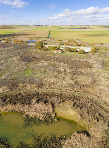 Conservación de humedales frente a la crisis climática