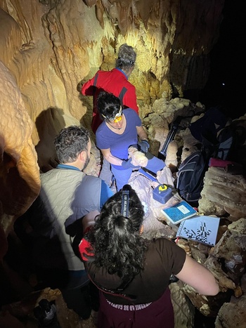 La UBU monitorizará la Cueva de los Franceses