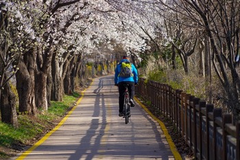 400.000 euros para el carril-bici de Cervera a Arbejal