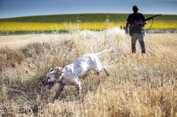 La caza como herramienta de seguimiento en el campo