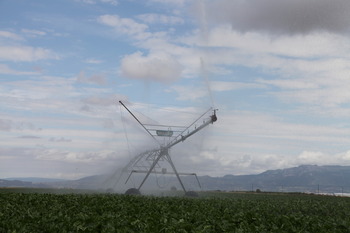 La IA permite ahorrar hasta un 10% de agua en el regadío