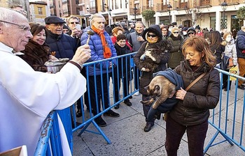 San Miguel, epicentro de San Antón y las mascotas