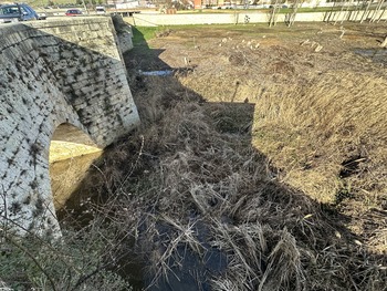 El Ayto de Villamuriel exige la limpieza del cauce del Río