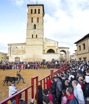 Toro de cajón y coches clásicos por San Sebastián en Paredes